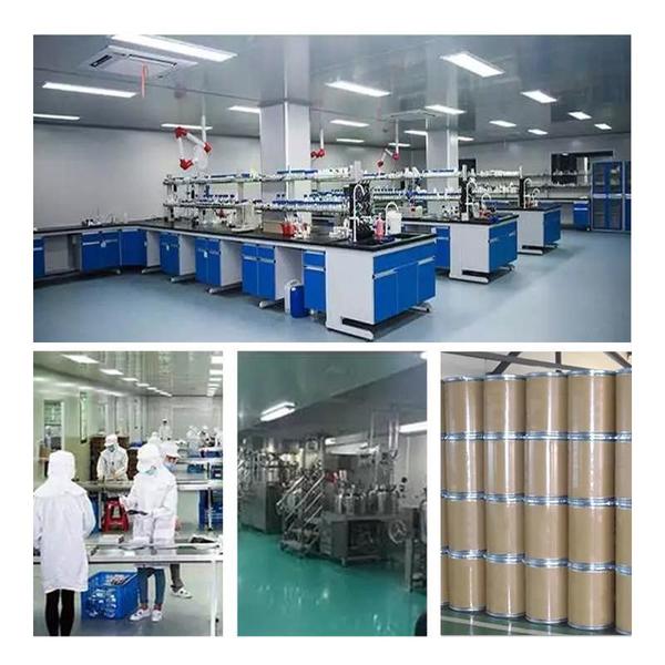 Trung Quốc Shaanxi Baisifu Biological Engineering Co., Ltd. hồ sơ công ty