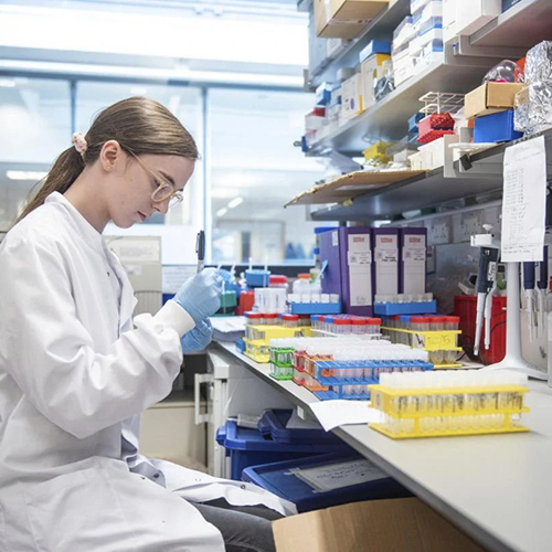 Shaanxi Baisifu Biological Engineering Co., Ltd. dây chuyền sản xuất nhà máy