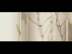 Dầu tinh dầu cây trà Dầu Lavender Dầu bạc hà Dầu cây Camphor Dầu não hoa hồng Dầu tinh dầu hoa hồng Euca