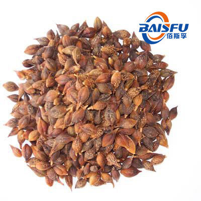 Baisfu brown fine powder high quality natural Fructus Kochiae.P.E 10:1 Fructus Kochiae Extract use in food addtive and dietary supplement