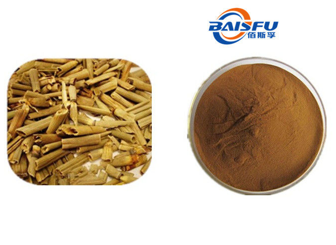 Baisfu Brown Yellow Powder Natural Common Scouring Rush Herb.P.E powder Ratio 10:1 for cosmetic and medicine