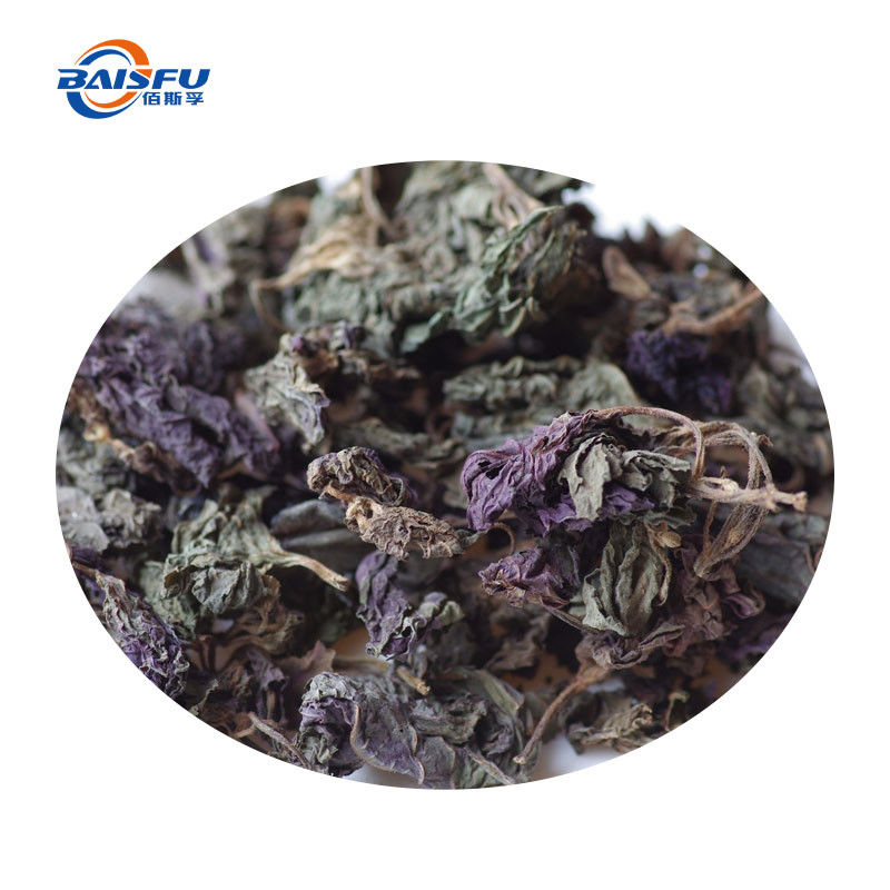 Top Quality Perilla Extract Food Grade Perilla Flavoring with Natural Ingredient Extract white powder With Low MOQ for Bake Drink Candy