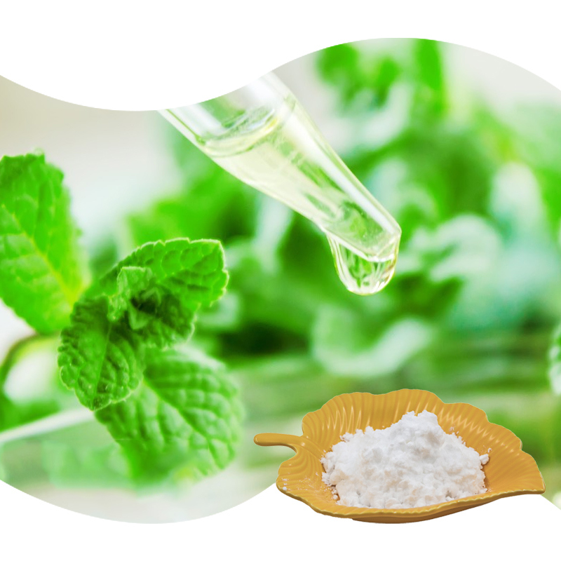 Baisfu Plant extract powder Mentha haplocalyx Brip Peppermint Extract Selling Well In Europe And America Market used in food and beverage