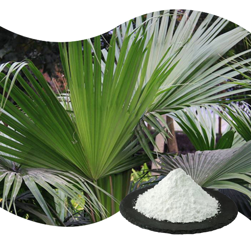 Baisfu Top Quality Saw Palmetto Extract Powder Saw Palmetto P.E. 98% Spec Saw Palmetto Fruit Extract with 25%-45% Fatty Acid and Solubility in Methanol  Saw Palmetto Extract CAS 84604-15-9 for food