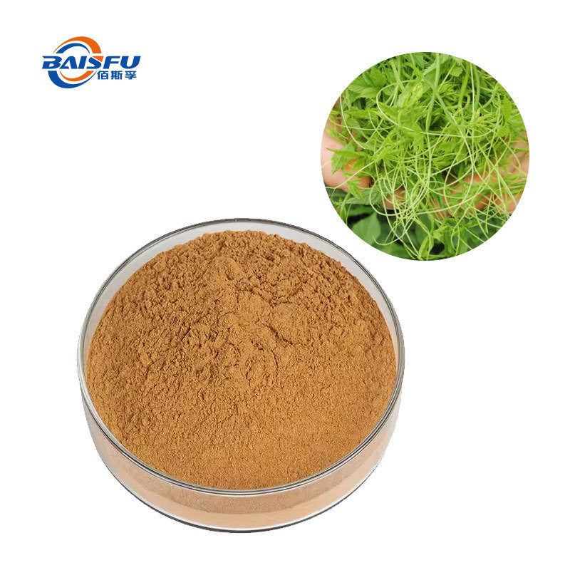 Gynostemma Pentaphyllum Plant Extract CAS 15588-68-8 Natural Herbal Supplement for Dietary and Cosmetic Formulations