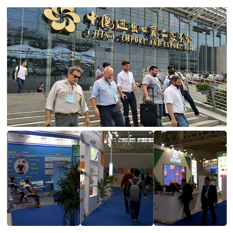 High Quality Sandela 803 Concentrate Oil for Aroma & Cosmetics, Fragrance Oil Supply