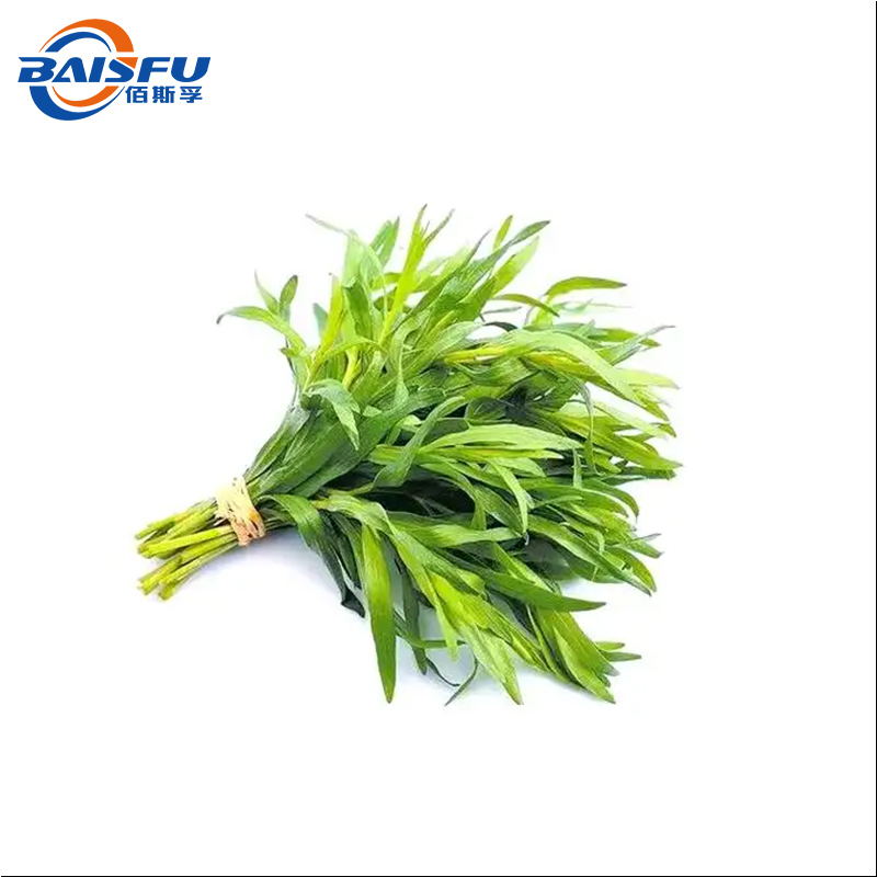 Tarragon Oil  CAS 8016-88-4 Essential Oil from Artemisia Dracunculus for Flavoring & Fragrance
