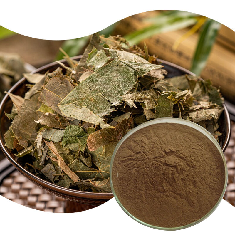 Baisfu Factory Wholesale Epimedium Extract High Quality Brownish-Brown Powder for Health Supplements and Food 