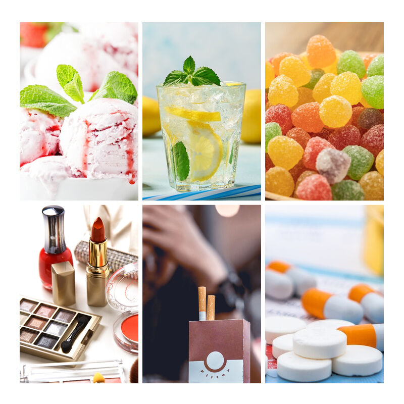 WS-5 (cooling WS-5) Cooling Compound CAS 68489-14-5 | Synthetic Cooling Powder for Industrial Use