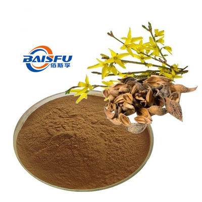 Baisfu brown fine powder high quality natural Fructus Kochiae.P.E 10:1 Fructus Kochiae Extract use in food addtive and dietary supplement